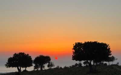 Marathon [109] Jeep Safari - Narodowy Park Akamas z Ayia Napa